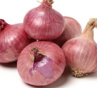 onion dry