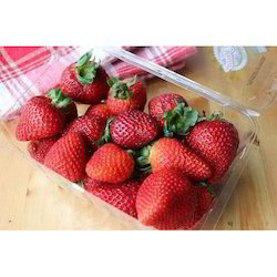 strawberry Fresh